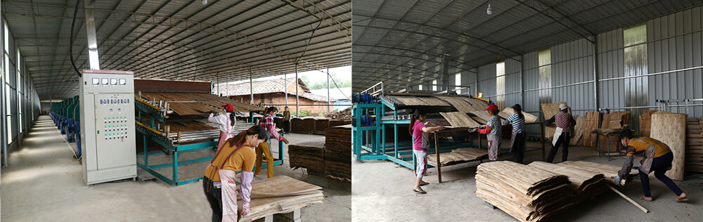 单板午夜AV在线播放 单板午夜AV在线播放