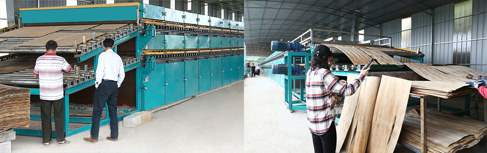 单板干燥机 单板干燥机