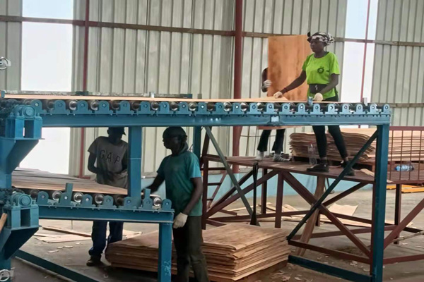 旋切单板干燥机设备 旋切单板干燥机设备