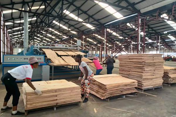 芯板午夜AV在线播放