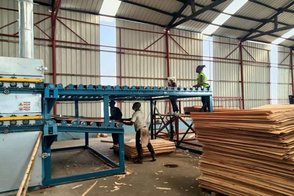 双层单板午夜AV在线播放