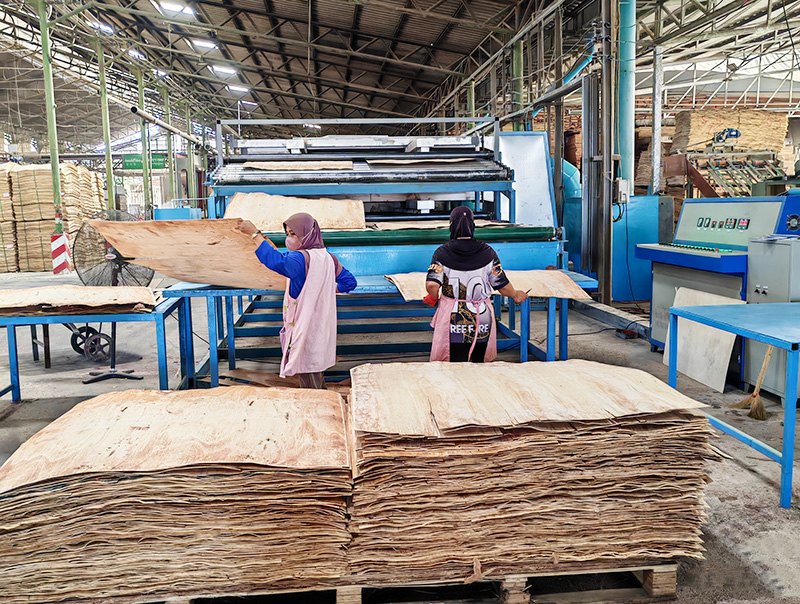 单板国产午夜在线看.jpg 单板国产午夜在线看.jpg